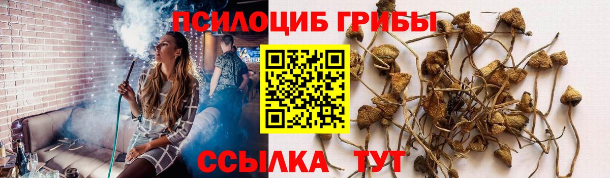 Светлоград  Галлюциногенные грибы Psilocybine cubensis  Псилоцибиновые грибы ЛСД  Вход с VPN 